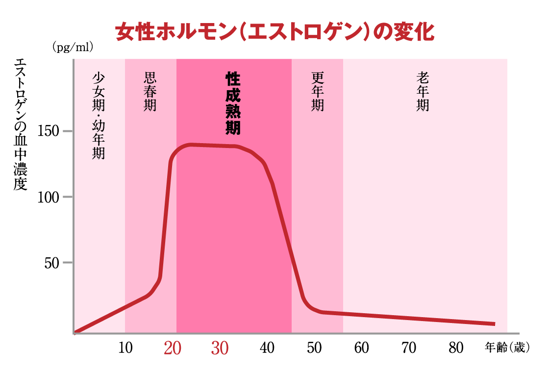 女性ホルモン（エストロゲン）の変化