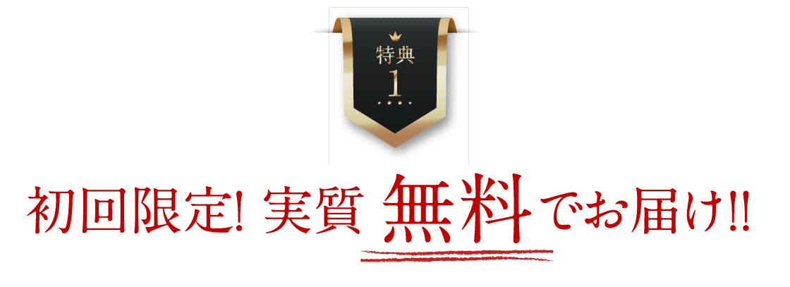 特典1 初回実質無料でお届け
